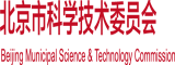 欧美日B北京市科学技术委员会