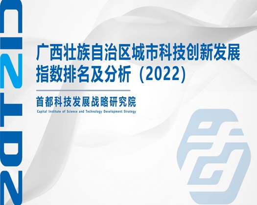 美女的BB好日【成果发布】广西壮族自治区城市科技创新发展指数排名及分析（2022）